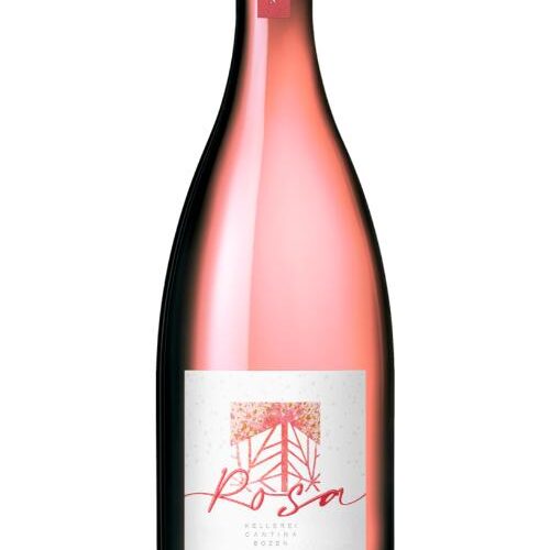 election-rosa-rose-1